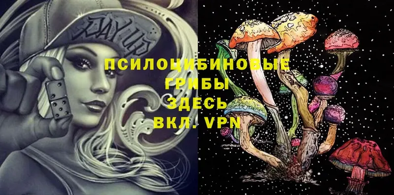 Галлюциногенные грибы Psilocybe  Болгар 